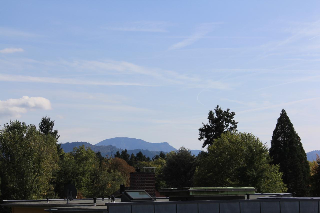 Mariaprimavera Apartment Am Kurpark Mit Schwarzwaldblick * * * * Bad Krozingen Exterior photo